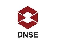 DNSE
